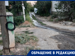 Кишечную палочку ждут волгоградцы в домах с видом на Родину-мать