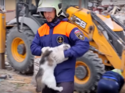 Волгоградцы смонтировали ролик из видео спасателей, работавших на месте взрыва жилого дома