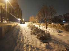 В первый день весны в Волгограде выпал снег