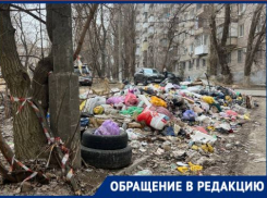Крысиная свалка вызвала коллапс во дворе в Волгограде