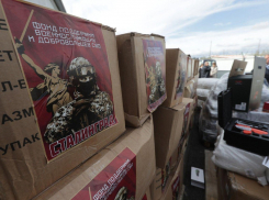 Волгоградцы усомнились в прозрачности регионального фонда поддержки участников СВО