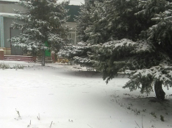 Жители Волгоградской области делятся в социальных сетях фотографиями зимы