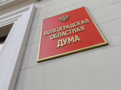 Волгоградские депутаты оценят инициативу о выплате мобилизованным по 100 тысяч