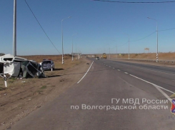 Под Волгоградом водитель Renault протаранил ЛЭП и погиб: пассажирка в больнице