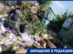 «30 миллиардов на мусорную реформу - крысам под хвост?»: в Волгограде перестали вывозить отходы