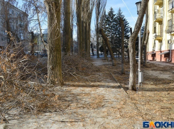 Горы спиленных веток остаются лежать на тротуаре в Волгограде уже неделю