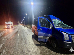 Двое волгоградцев погибли в жутком ДТП в Калмыкии с участием микроавтобуса