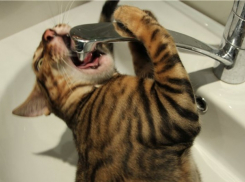 Частный сектор Краснооктябрьского района на сутки останется без воды