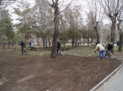 В Волгограде более тысячи человек вышли на субботник