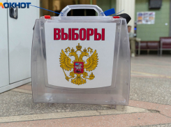 Работники избиркома пошли по домам волгоградцев с пиаром выборов президента
