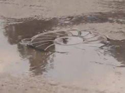 Фекальный засор пятые сутки держит волгоградцев без воды