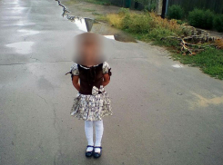 Служебные собаки привели кинологов к дому пропавшей 5-летней девочки под Волгоградом 