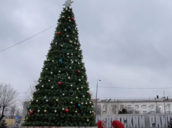 12-метровую новогоднюю ель установили в Волгограде