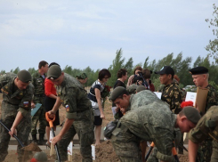 Больше тысячи защитников Сталинграда перезахоронили на Россошинском кладбище