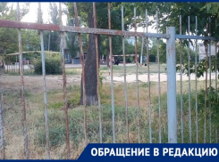 Собачники выгуливают псов возле школы №37 в Волгограде, несмотря на постоянные ссоры с родителями учеников