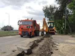 У волгоградцев появится возможность гулять вдоль рокадной дороги