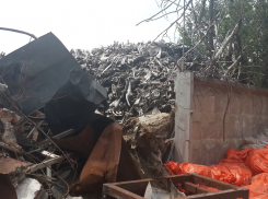 В Волгограде «Царь-продукт» устроил свалку из костей животных