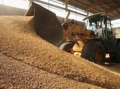 Ростовская бизнес-леди за треть цены выкупила прогремевший миллионными хищениями волгоградский элеватор