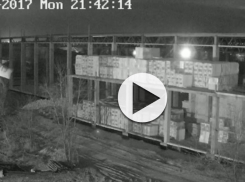 За строительством музея в пойме Царицы можно следить через веб-камеры