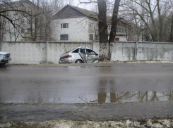 Лишенный водительских прав волгоградец врезался в дерево