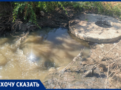 Фекальный ручей потек к склону Мамаева кургана в Волгограде 