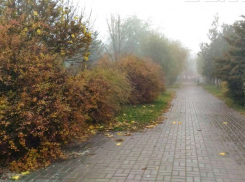 Дожди в области и туман в Волгограде обещают синоптики