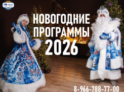 Новогоднее приключение с квестами и интерактивами. 2000 руб/чел. 