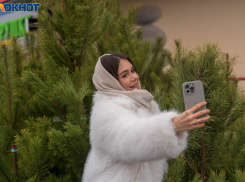 Выбрасывать елки во двор под угрозой штрафа запретили в Волгограде 