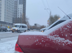 Волгоградцы радуются первому снегу