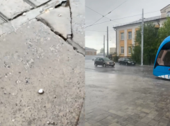«Беда для всего сада»: майский град обрушился на Волгоград