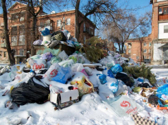 Северная часть Волгограда утонула в мусоре
