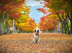 Заморозки и повышенное давление: погода в Волгограде на 7 октября 