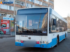 «Автобус ехал, пока я истошно кричала»: волгоградку придавило дверьми транспорта