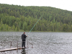 В Волгоградской области поймали пятерых браконьеров   