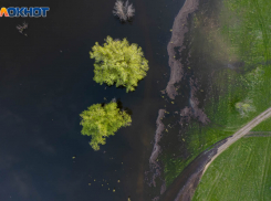 Астролог назвала два самых неудачных дня первой недели мая