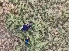Прятавшиеся в траве перепуганные люди попали на камеру дрона под Волгоградом