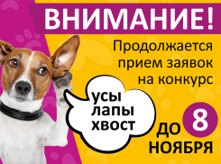Продолжается прием заявок в конкурсе «Усы, лапы, хвост!»