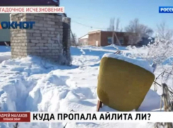 Куда пропала школьница под Волгоградом: на шоу к Андрею Малахову приехали соседи и бывший отчим девочки