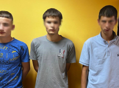Банду поджигающих волосы подростков задержали в Волгограде