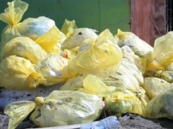 За свалку в Волгограде стройкомпания заплатит больше 700 тысяч рублей 