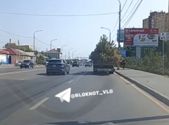 В Волгограде снова выкорчевали многострадальные сосны на улице Рокоссовского — видео 