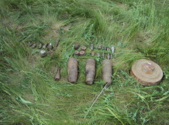 Под Волгоградом в дворе дома найдено 1600 боеприпасов
