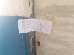 Соседи умершей среди мусора и свалок волгоградки продолжают мучиться от жуткой вони