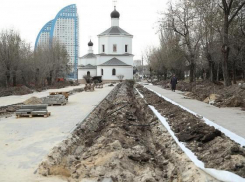 В Волгограде выбрали руководителей Общественной палаты города - героя