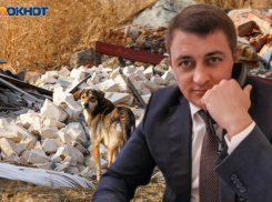 Госдумский борец с «собачьей сектой» заявил об угрозах в свой адрес и потребовал принять меры к зоошизе