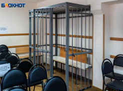 В Волгоградской области 8 лет судили убийцу старушки