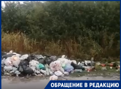 Волгоградец показал на видео вонючую помойку в заповедной пойме
