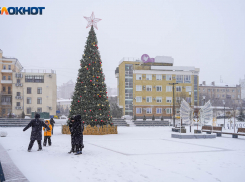Волгоград накроет снегопад с метелью