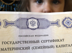 Под Волгоградом семью обязали вернуть деньги за материнский капитал