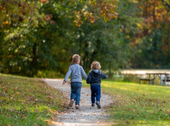 Раки могут блеснуть знаниями, Весы должны слушать интуицию: гороскоп
